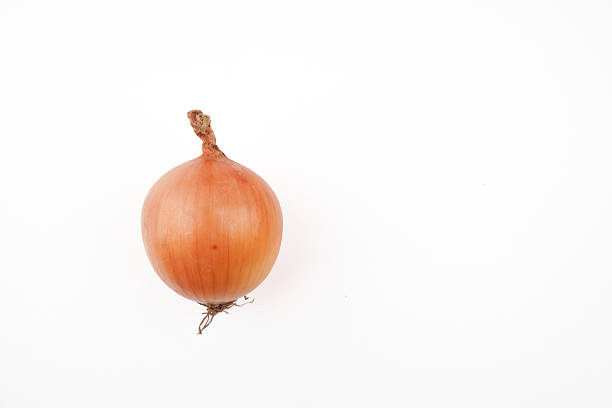 Single onion isolated on white background representing fresh vegetable, natural food ingredient, cooking essential, and everyday kitchen produce in clean minimal presentation.