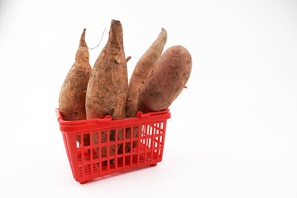 Sweet Potato