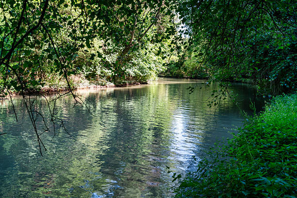 istock Calm Forest River in Rusenski Lom Nature Park 2254200258