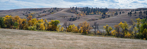 istock Prairie and Fall Foliage, Custer State Park 2254200275