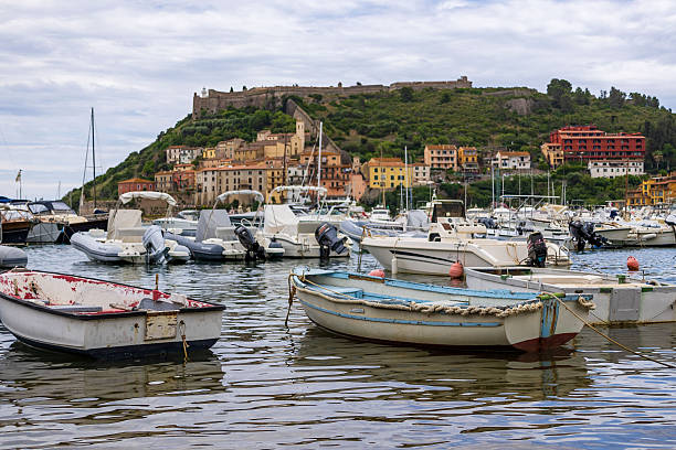 boats in the harbour