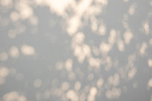 istock Abstract natural tree branch leaves shadow on beige wall background 2254202759