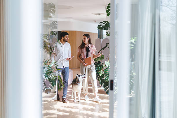 istock Professional Colleagues Share Friendly Conversation With Husky Dog In Modern Office Hallway 2254203401
