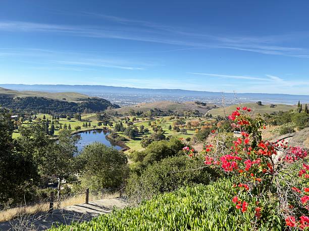 Golf Course green with Spectacular View. 