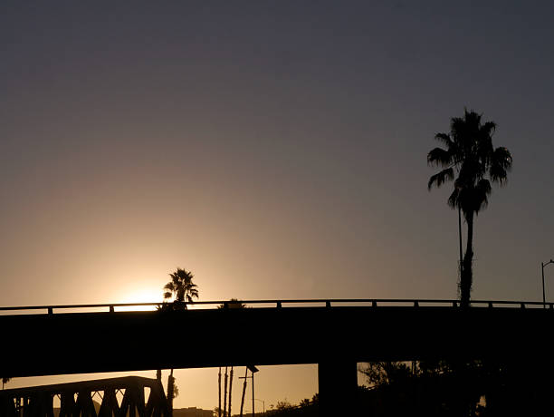 Lining parts of the coast in magical Ventura are these California Fan Palm Trees. Here they are in silhouette against a highway overpass, a railroad trestle, and the sunrise sky. 2025