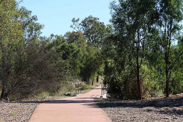 istock Concrete path running through native trees at the Emerald Botanic Gardens in Queensland, Australia 2254212213