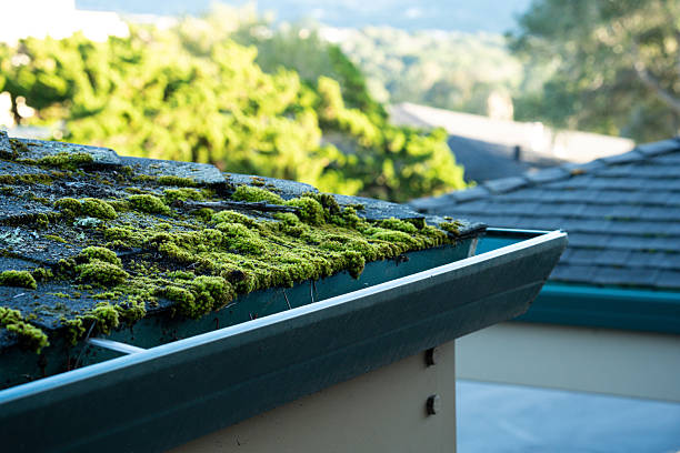 istock Moss growing on a dark asphalt shingle roof and in a gutter 2254214024