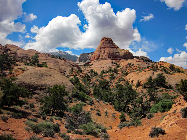 istock Navajo Mt from Bald Rock Canyon 2254215084