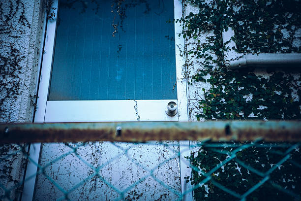 A closed blue door surrounded by ivy on an old building wall. The weathered surface and muted tones convey silence, abandonment, and the passage of time in an urban environment.