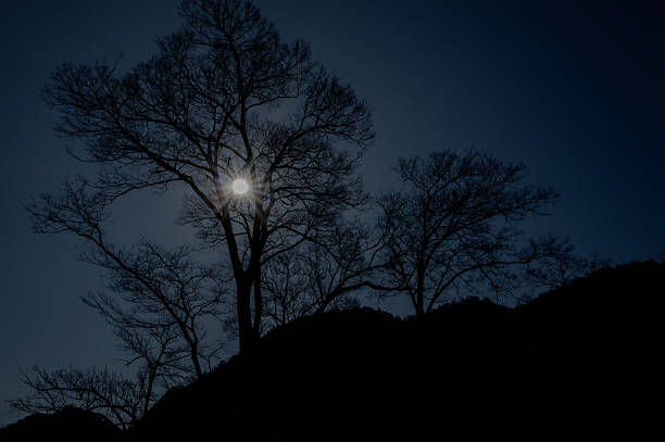 Moon of the night sky. long exposure of a clear night taken in the Vancouver WA.  Perfect background image for a nativity scene, or space and astronomy themed design.