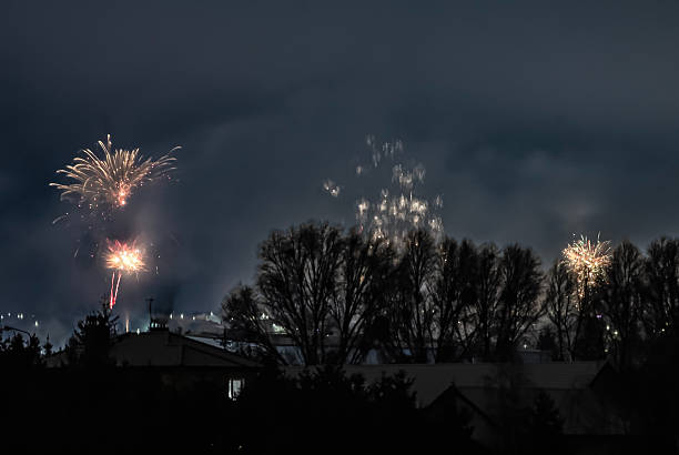 istock Night sky bursts with colorful fireworks over silhouetted trees and rooftops 2254229935