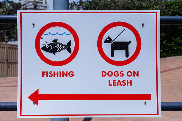 Public beach promenade signboard signs for dogs on leash and fishing direction.