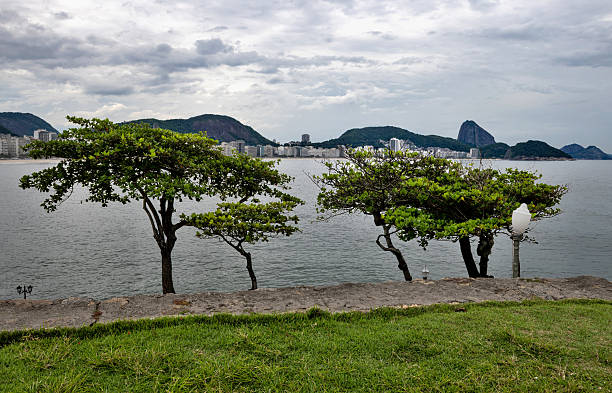 Rio de Janeiro, Brazil, November 8, 2024: View of the trees, lanterns and mountains on the coast of Rio de Janeiro under cloudy sky.