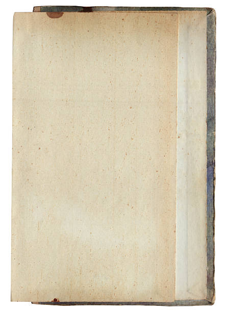 istock Vintage background of old ancient torn paper texture isolated 2254232777