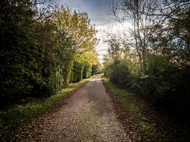 istock Country path winding through autumn trees in Pas-de-Calais 2254232783