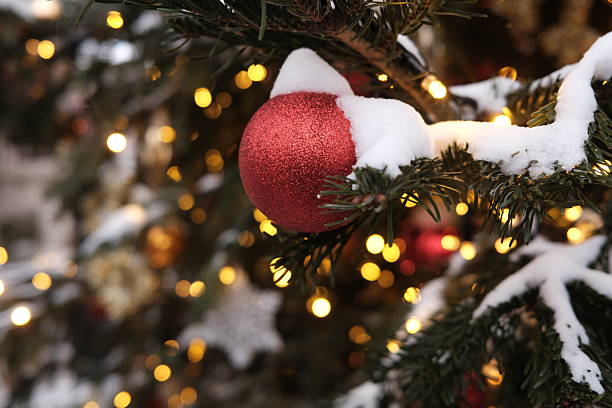 Christmas tree ornament and snow on the pine tree branches, new year celebration, decoration, winter season, cold weather, white, red