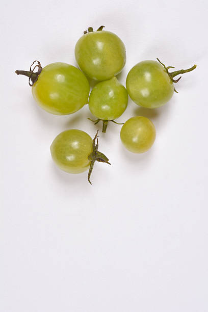 High anthocyanin tomato fruit on white background