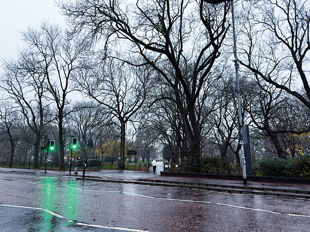 Manchester, UK - December 06, 2025: A rainy urban park scene in Manchester with leafless trees, wet streets, and green traffic lights.