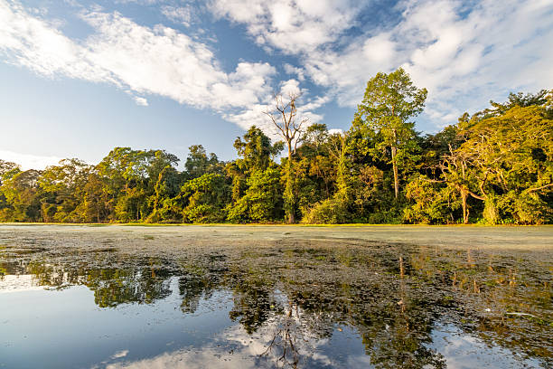 Angkor Wat Moat in Siem Reap Province, Cambodia