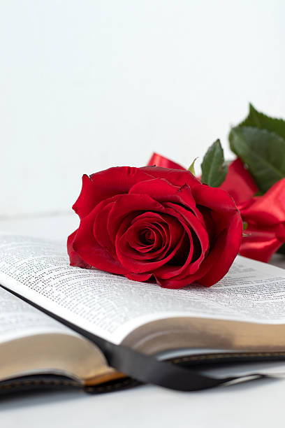 istock Red rose on a holy bible book 2254242381