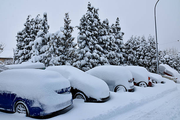 A couple poses in the trunk of their car with a Christmas tree on the roof in a winter forest.