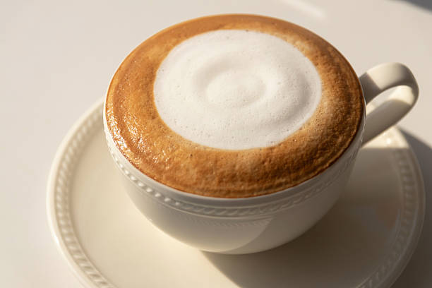 Creamy cappuccino with frothy milk foam in white cup on saucer, warm morning beverage with soft lighting