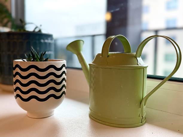 Indoor flowers and a watering can on a window against the backdrop of a cityscape