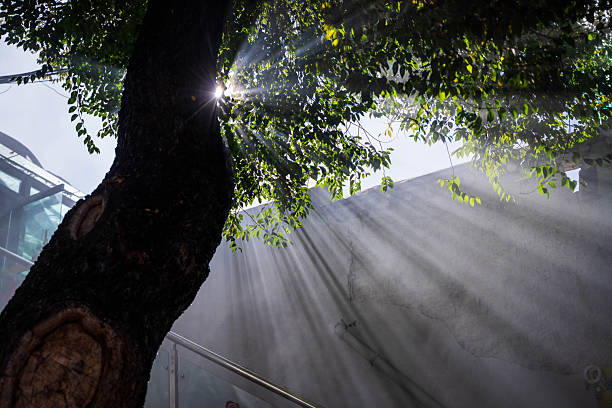 A serene and spiritual scene captured at Ramoche Temple in Lhasa, Tibet. The image features a traditional Tibetan incense burner (Sangkhang) releasing thick white smoke into the air, with bright morning sunlight filtering through the leaves of an ancient tree, creating dramatic light rays (Tyndall effect). The atmosphere reflects the deep religious devotion and peaceful essence of Tibetan Buddhism. Perfect for projects focused on spirituality, Asian culture, historical travel, and religious rituals.