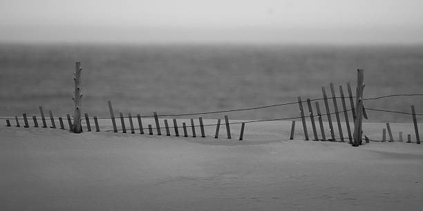 Fence on sand dunes, Stone Harbor, New Jersey, USA