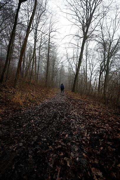 istock Hiker in the misty forest 2254249704