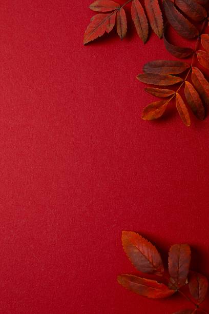 Red leaves frame a rich color background, perfect for fall decor, nature-themed projects