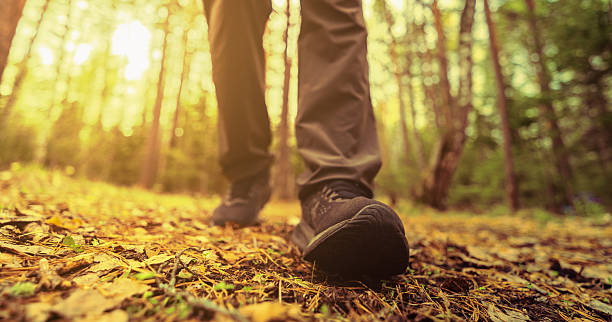 istock mens foot steps on autumn trail 2254253355