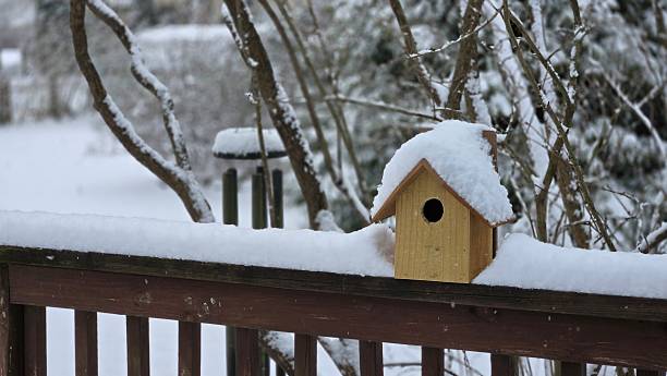 istock scene in winter white snow cover 2254253854
