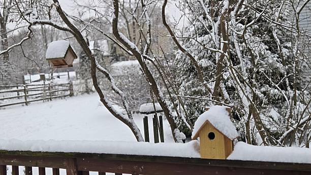 istock scene in winter white snow cover 2254253855