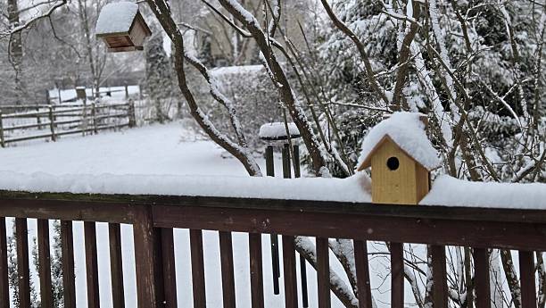 istock scene in winter white snow cover 2254253856