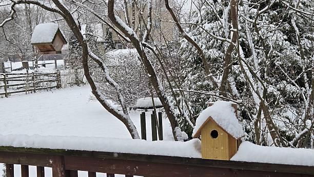 istock scene in winter white snow cover 2254253860