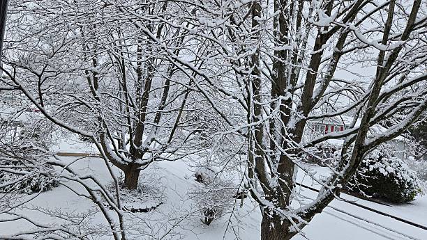 istock scene in winter white snow cover 2254253870