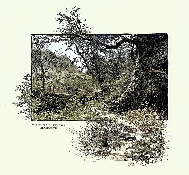 Bridge in the park, Betchworth, Surrey, Squirrel under old tree, English rural scene, Victorian art 19th Century 1880s