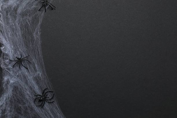 Halloween holiday decorations including cobweb, and spiders on black background, top view