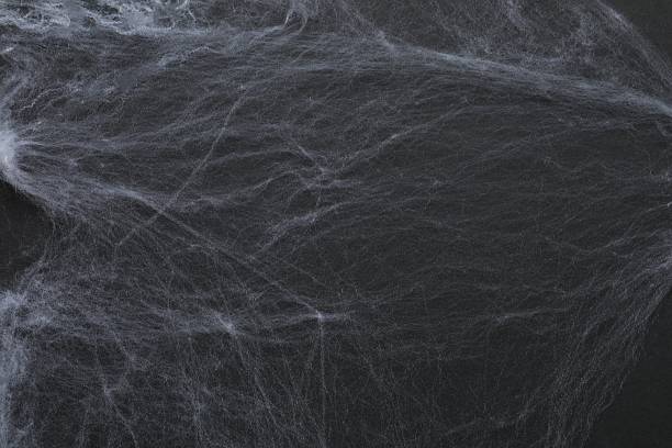 istock Halloween holiday decorations cobweb on black background, top view 2254256233