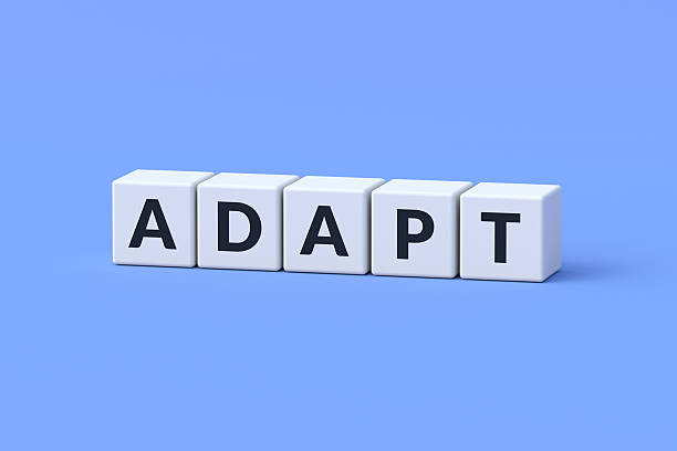istock Adapt word on cubes. Fine-tuning of equipment. Adjusting settings. Modify strategy. Adaptation to climate change. Remodel the business structure. Improvement concept. 3d render 2254257835
