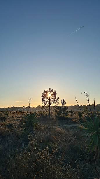 istock Beautiful sunset over the Mimbeau Cuspate foreland (Cap Ferret peninsula) 2254258478
