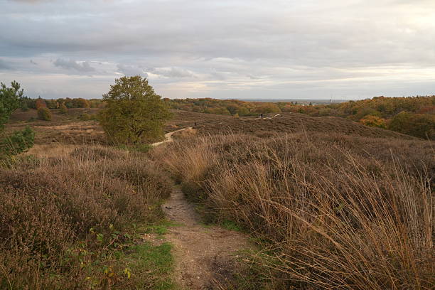 Winter at Nationaal Park Veluwezoom