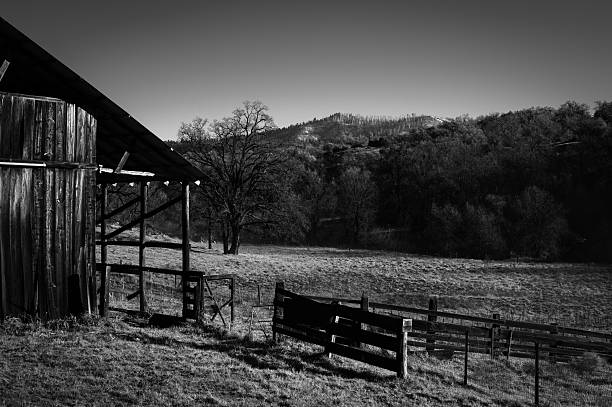 black and white image of barn and pasture in sierra nevada foothills