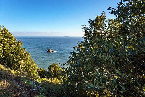 View over the coast of Torbay, from the South West Coast Path