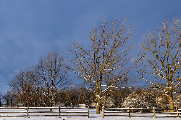 istock Rural winter landscape 2254272595