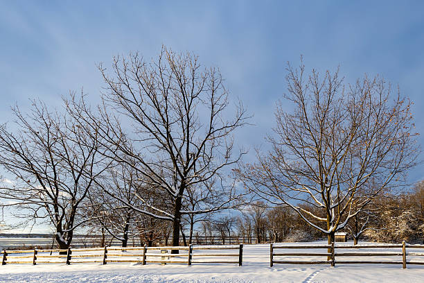 istock Rural winter landscape 2254272616