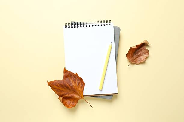 istock Autumn leaves with notebook on color background 2254276148