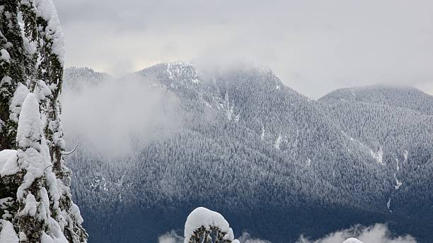 Snowcapped mountain framed by Snow-Laden Evergreens Under Overcast Winter Sky, on Grouse Mountain