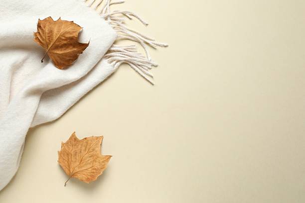 istock Autumn composition with leaves and beige scarf on color background 2254276193
